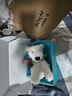 Jellycat玫瑰西高地小狗公仔玩偶苏格兰梗犬告白系列毛绒玩具可爱陪伴礼物 玫瑰西高地+礼盒 25cm 晒单实拍图