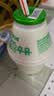 宾格瑞坛子奶香蕉牛奶草莓饮料低温冷藏混合装238ml*6瓶源头直发包邮 实拍图