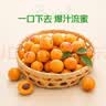 新疆吊干杏约400g 实拍图