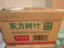 农夫山泉东方树叶绿茶500ml*15瓶无糖茶饮料0糖0脂0卡整箱装饮品 实拍图