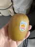 佳沛（zespri）新西兰阳光金奇异果10粒巨大果单果146-175g 猕猴桃水果礼盒 实拍图