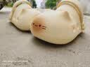 chikoku可爱小猫爪洞洞鞋女新款厚底勃肯半拖鞋外穿防滑eva凉拖鞋 实拍图