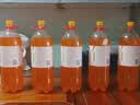 健力宝橙蜜味2L*6瓶含蜂蜜汽水碳酸饮料饮品家庭装聚会聚餐宴饮 实拍图