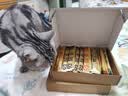 多特思猫零食主食猫条高肉含量成幼猫全价湿粮罐头猫饭小金条15g*100支 实拍图