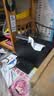 毕亚兹 USB3.0分线器扩展坞一拖四 高速4口集线器HUB拓展坞 笔记本电脑一拖多转换器转接头延长线带供电 实拍图