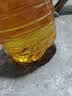 鲁花 食用油 物理压榨 葵花仁油6.18L  实拍图