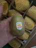 佳沛（zespri）新西兰阳光金奇异果10粒巨大果单果146-175g 猕猴桃水果礼盒 实拍图
