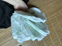 布班迪【透明溯源】山茶花花芯裤拉拉裤M28片超薄透气男女宝通用尿不湿 实拍图