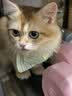麦富迪猫粮 超肉粒冻干双拼幼猫粮免疫护肠胃 三文鱼2kg 实拍图