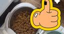 皇家猫粮 成猫猫粮 营养均衡 F32 通用粮 1-7岁 2KG 实拍图