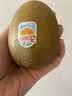 佳沛（zespri）新西兰 阳光金奇异果12粒特大果单果124-146g 猕猴桃水果礼盒 实拍图