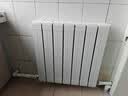 金旗舰暖气片家用铜铝复合水暖壁挂式全屋暖气定制自采暖集中供暖散热器 (严寒地区)铜铝8095-600mm 6分口 实拍图