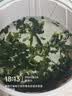 云山半脱水万年青15g*10包 独立包装 高泡发脱水蔬菜 冲泡即食 实拍图
