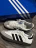 阿迪达斯 adidas三叶草  samba T头鞋运动鞋男女休闲鞋B75806 38 实拍图