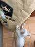 麦富迪猫粮 超肉粒冻干双拼幼猫粮免疫护肠胃 三文鱼10kg/20斤 实拍图