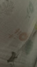 汰渍净白去渍洗衣粉柠檬清新10斤装 强效去渍 大袋批发非皂粉家庭装 实拍图