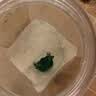 汰渍净白去渍洗衣粉10斤装 强效去渍 持久留香 大袋批发非皂粉家庭装 实拍图