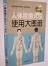 人体经络穴位使用大图册 常用经络腧穴中医养生自学工具 中国医药科技出版社 实拍图
