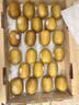 佳沛（zespri）新西兰金奇异果15粒巨大果146-175g猕猴桃中秋节礼品送水果礼盒 实拍图