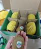 佳沛（zespri）绿奇异果10个装 宝宝果单果约80-89g 水果猕猴桃包邮 实拍图