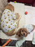麦富迪狗粮 藻趣儿狗粮成犬粮牛肉螺旋藻 均衡营养15kg/30斤 实拍图