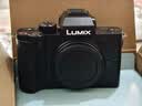 松下（Panasonic）Lumix G100D M43画幅相机 M43卡口 微单相机 无反数码相机 G100D+【12-60mm白盒】单镜套装 实拍图