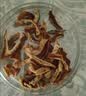 祥聚堂炒决明子200g 精选大粒无硫熏中药饮片清热名目润肠通便 粒粒饱满 文火慢炒焦香浓郁 实拍图