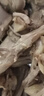 上鲜无抗鸡胗800g 更安心鸡胗 鸡肫卤鸡胗烤鸡胗卤煮烧烤食材清真 实拍图