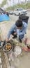 婴享无小麦长面儿童面条无麸质无蛋营养含婴儿宝宝辅食谱大米原味240g 实拍图