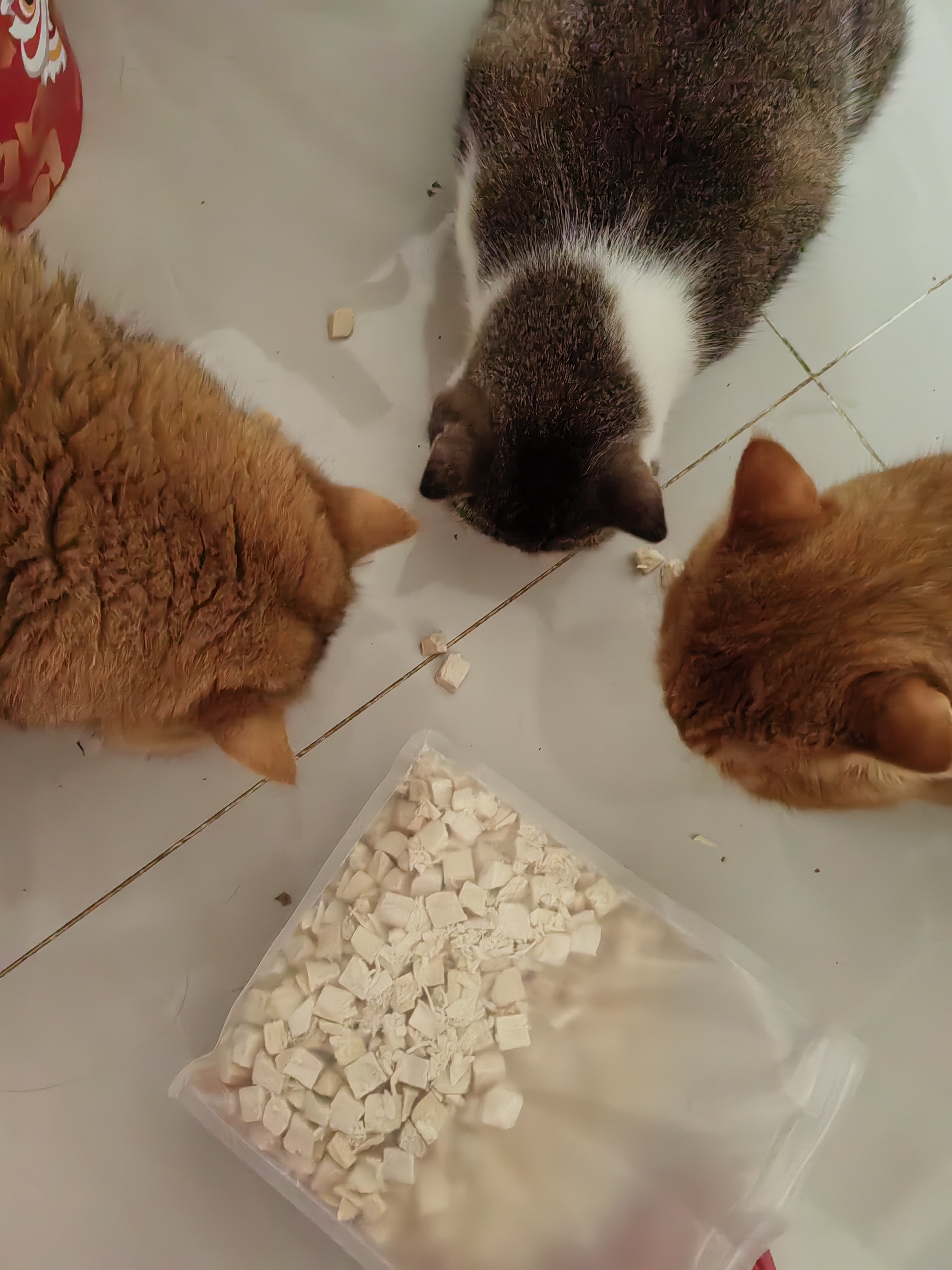 狼弈冻干猫零食鸡肉冻干猫咪零食猫粮宠物鸡肉鸡胸肉成幼通用猫狗零食 精品鸡肉粒500g（无干燥剂） 实拍图