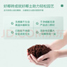 史丹利椰糠砖650g 椰土砖椰砖营养土脱盐花土耶砖种菜通用型 实拍图