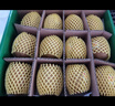 佳沛（zespri）新西兰阳光金奇异果 8个装 特大果单果重约124-146g 水果猕猴桃 实拍图