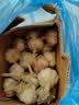 春平赋2026年新鲜干大蒜头大蒜批发红皮蒜干蒜炒菜香 5斤【果径3-5cm]净重4.7斤 实拍图