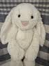Jellycat害羞乳白色邦尼兔动物毛绒玩偶安抚玩偶娃娃送礼生日礼物 害羞乳白色邦尼兔 Medium 实拍图