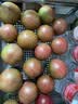 密云农家 新鲜沙瓤西红柿 番茄 生鲜 蔬菜儿时味道 西红柿 2000g 实拍图