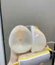 美德乐（Medela）吸奶器电动吸乳器可穿戴式享韵免手扶双边一体式防逆流按摩 实拍图