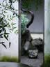 索尼（SONY）DSC-RX100M7 黑卡数码相机（24-200mm焦段  4K视频) RX100M7 黑卡7 黑卡7 实拍图