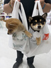 皇家狗粮 柴犬幼犬狗粮 犬粮 宠物小型犬 SIJ29 全价犬粮 2-10月 3KG 实拍图