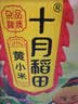 十月稻田 内蒙古黄小米 5斤 京东溯源 小米黄小米 早餐粥杂粮米 实拍图