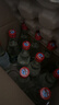 牛栏山 陈酿 白牛二 白瓶 口粮酒 浓香风格 52度 500ml*12瓶 整箱装 实拍图