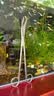 海斯迪克 HKCL-106 加厚水族馆工具平沙器不锈钢水草镊剪刀水草夹镜面镊子直/弯镊子 25cm镜面弯剪（剪刀） 实拍图