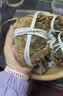 【礼券】姑苏渔歌大闸蟹礼券9588型公5.5两母4.0两4对8只送礼螃蟹卡券海鲜礼盒礼品卡 实拍图