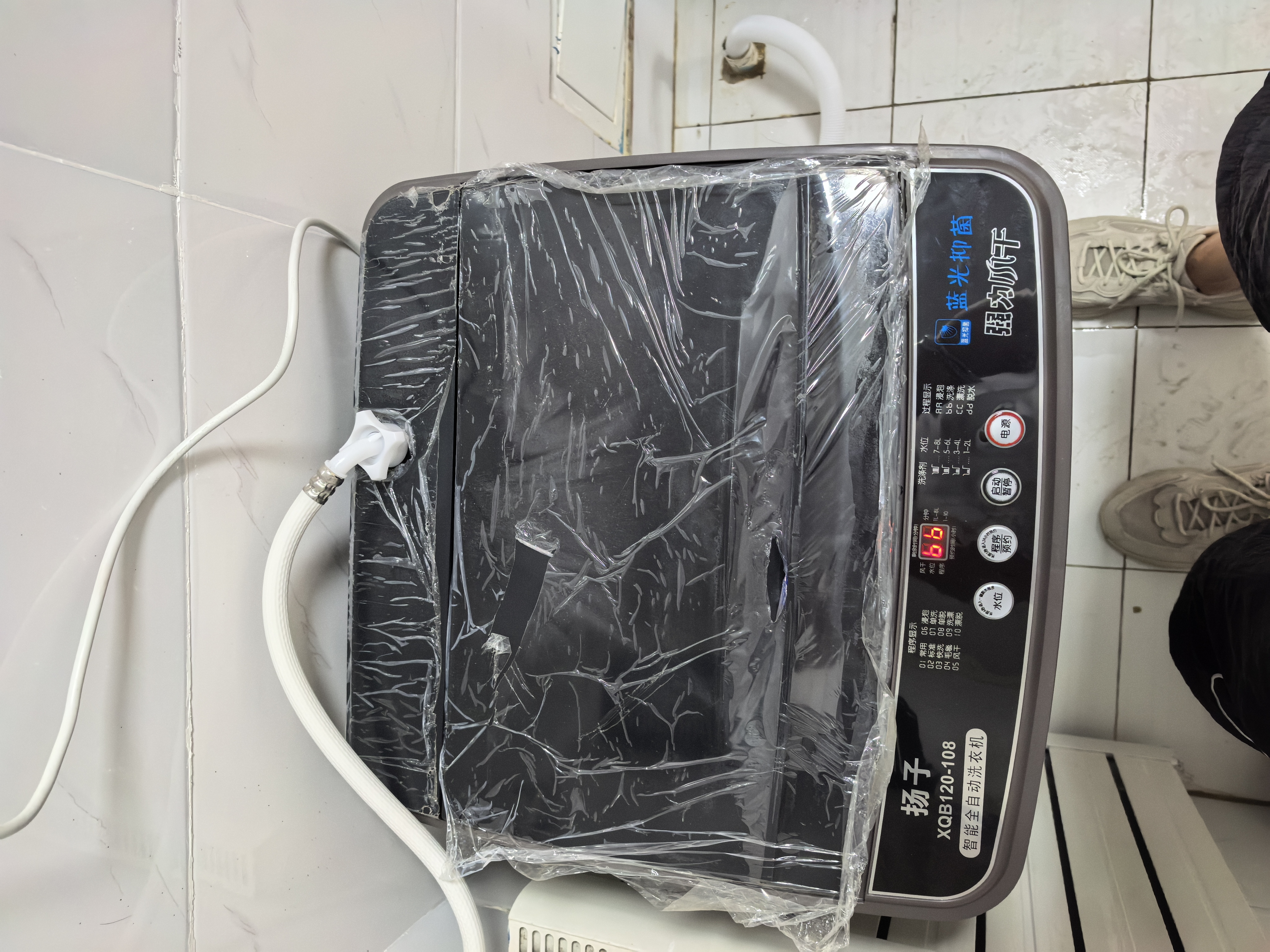 扬子【家电补贴20%】波轮洗衣机小型全自动家用 洗脱一体机大容量带烘干 公寓宿舍出租房 10KG【爆款】蓝光洗护+10年质保+强电机 波轮 实拍图