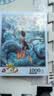 亿基美正版海绵宝宝1000片拼图8岁以上平图一千片高难度生日礼物玩具 实拍图