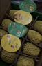 佳沛（zespri）新西兰 阳光金奇异果12粒特大果单果124-146g 猕猴桃水果礼盒 实拍图