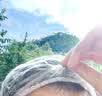 润丝丹泡泡染发剂植物在家染流行天然显白男女专用遮盖白发泡沫纯染发膏 冷棕色（流行色） 240ml*1瓶 实拍图