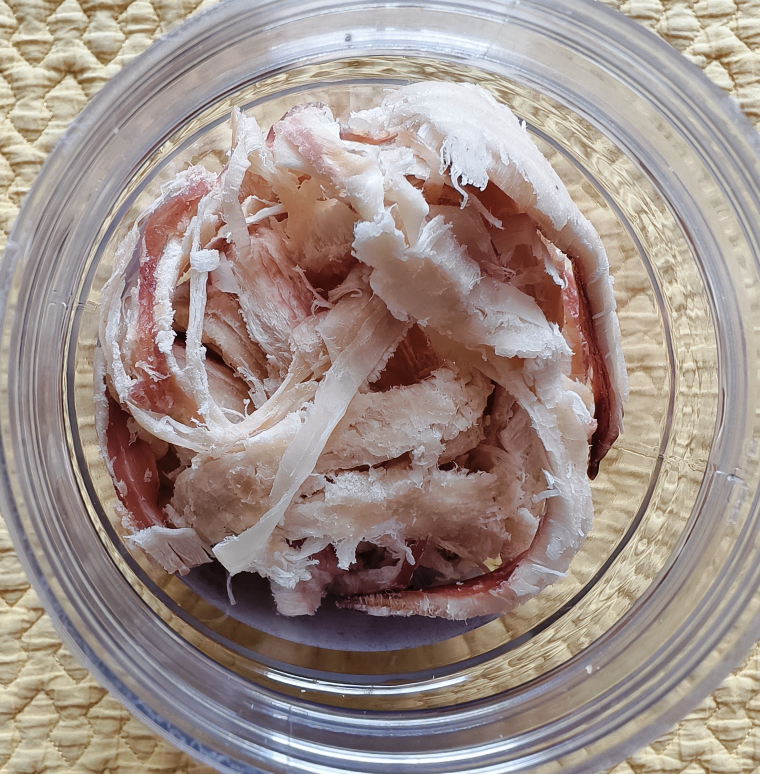 京仙诚鱿鱼条手撕碳烤鱿鱼丝原味海鲜干货海味零食解馋休闲小吃250g罐装 实拍图