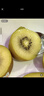 佳沛（zespri）新西兰 阳光金奇异果12粒特大果单果124-146g 猕猴桃水果礼盒 实拍图