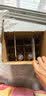 科罗娜（CORONA）特级啤酒330ml*12瓶啤酒整箱装经典拉格京东自营七夕送礼 实拍图