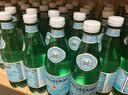 圣培露（S.PELLECRINO）意大利含气天然矿泉水气泡水 饮用水 500ml*24瓶 实拍图